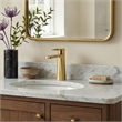 Paula Single Hole Single-Handle Brass Bathroom Faucet in Brushed Gold