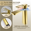 Paula Single Hole Single-Handle Brass Bathroom Faucet in Brushed Gold
