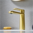 Paula Single Hole Single-Handle Brass Bathroom Faucet in Brushed Gold