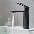 Paula Single Hole Single-Handle Brass Bathroom Faucet in Matte Black