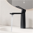 Paula Single Hole Single-Handle Brass Bathroom Faucet in Matte Black