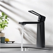 Paula Single Hole Single-Handle Brass Bathroom Faucet in Matte Black