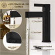 Stila Single Hole Single-Handle Brass Bathroom Faucet in Matte Black
