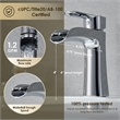 Tatcha Polished Chrome Single Hole Single-Handle Brass Waterfall Bathroom Faucet