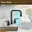 Wishful 8. in Widespread 2-Handle Brass Bathroom Faucet in Matte Black