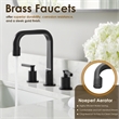 Wishful 8. in Widespread 2-Handle Brass Bathroom Faucet in Matte Black