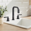 Wishful 8. in Widespread 2-Handle Brass Bathroom Faucet in Matte Black