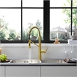 Nette Single-Handle Brass Kitchen Faucet with Pull Down Sprayer in Brushed Gold