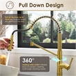 Nette Single-Handle Brass Kitchen Faucet with Pull Down Sprayer in Brushed Gold