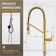 Nette Single-Handle Brass Kitchen Faucet with Pull Down Sprayer in Brushed Gold