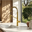 Nette Single-Handle Brass Kitchen Faucet with Pull Down Sprayer in Brushed Gold