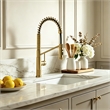 Nette Single-Handle Brass Kitchen Faucet with Pull Down Sprayer in Brushed Gold