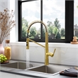 Nette Single-Handle Brass Kitchen Faucet with Pull Down Sprayer in Brushed Gold