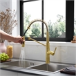 Nette Single-Handle Brass Kitchen Faucet with Pull Down Sprayer in Brushed Gold