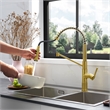 Nette Single-Handle Brass Kitchen Faucet with Pull Down Sprayer in Brushed Gold