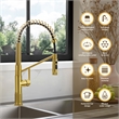 Nette Single-Handle Brass Kitchen Faucet with Pull Down Sprayer in Brushed Gold