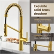 Nette Single-Handle Brass Kitchen Faucet with Pull Down Sprayer in Brushed Gold