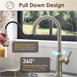 Oribe Single-Handle Kitchen Faucet with Pull Down Sprayer in Brushed Nickel