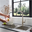 Oribe Single-Handle Kitchen Faucet with Pull Down Sprayer in Brushed Nickel