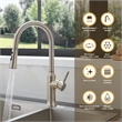 Oribe Single-Handle Kitchen Faucet with Pull Down Sprayer in Brushed Nickel
