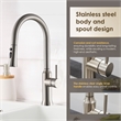 Oribe Single-Handle Kitchen Faucet with Pull Down Sprayer in Brushed Nickel