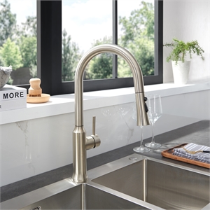 Oribe Single-Handle Kitchen Faucet with Pull Down Sprayer in Brushed Nickel