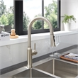 Oribe Single-Handle Kitchen Faucet with Pull Down Sprayer in Brushed Nickel