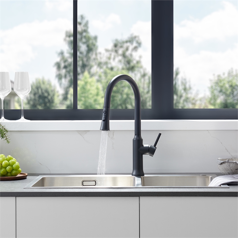 Oribe Single-Handle Kitchen Faucet with Pull Down Sprayer in Matte Black