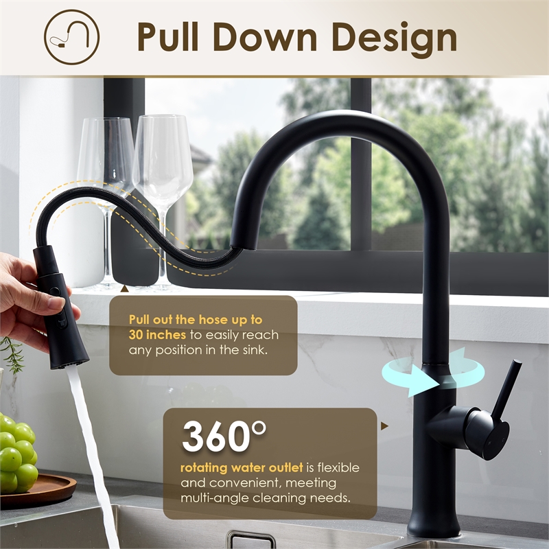 Oribe Single-Handle Kitchen Faucet with Pull Down Sprayer in Matte Black