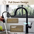 Oribe Single-Handle Kitchen Faucet with Pull Down Sprayer in Matte Black