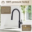 Oribe Single-Handle Kitchen Faucet with Pull Down Sprayer in Matte Black