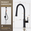 Oribe Single-Handle Kitchen Faucet with Pull Down Sprayer in Matte Black