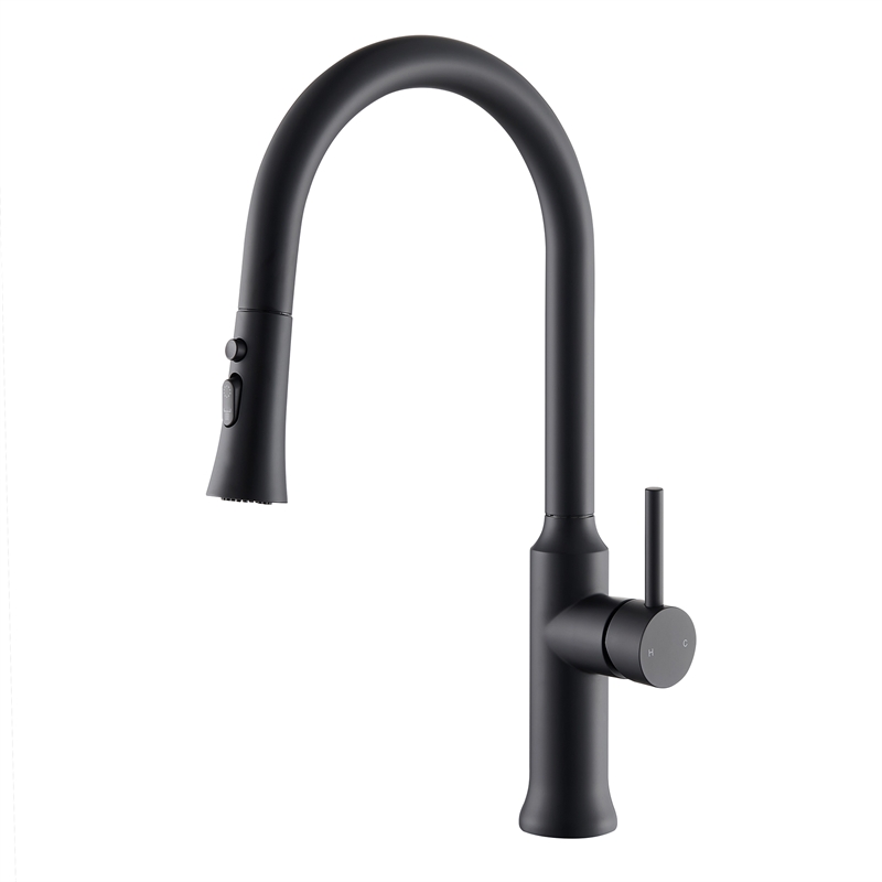 Oribe Single-Handle Kitchen Faucet with Pull Down Sprayer in Matte Black
