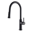 Oribe Single-Handle Kitchen Faucet with Pull Down Sprayer in Matte Black