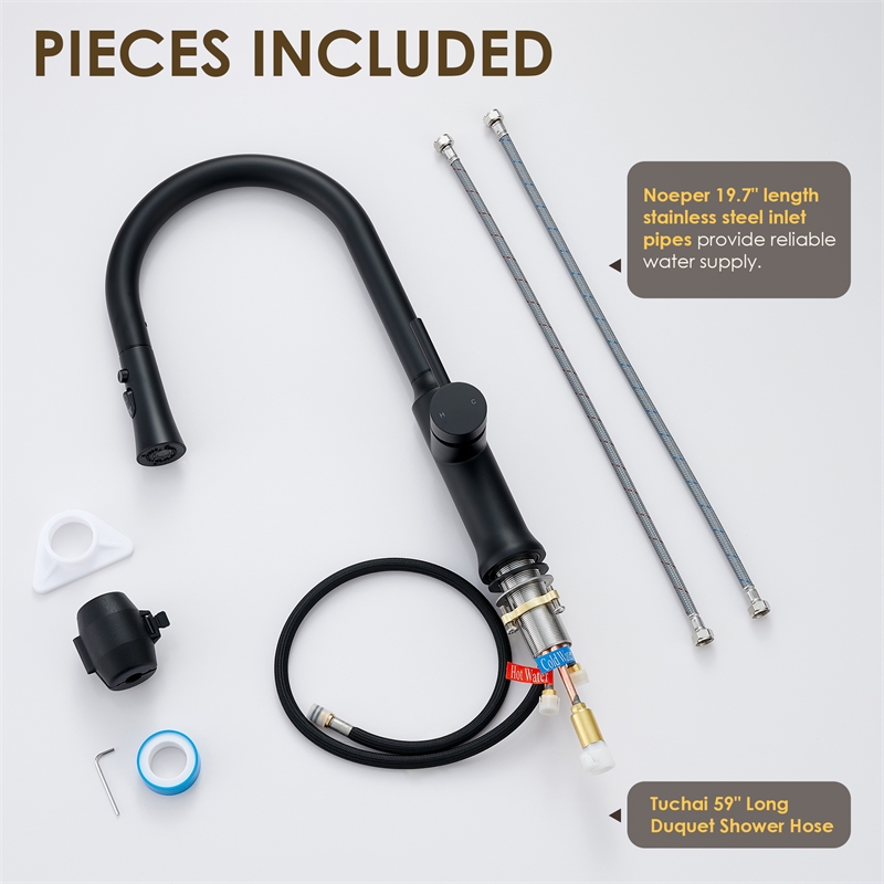 Oribe Single-Handle Kitchen Faucet with Pull Down Sprayer in Matte Black