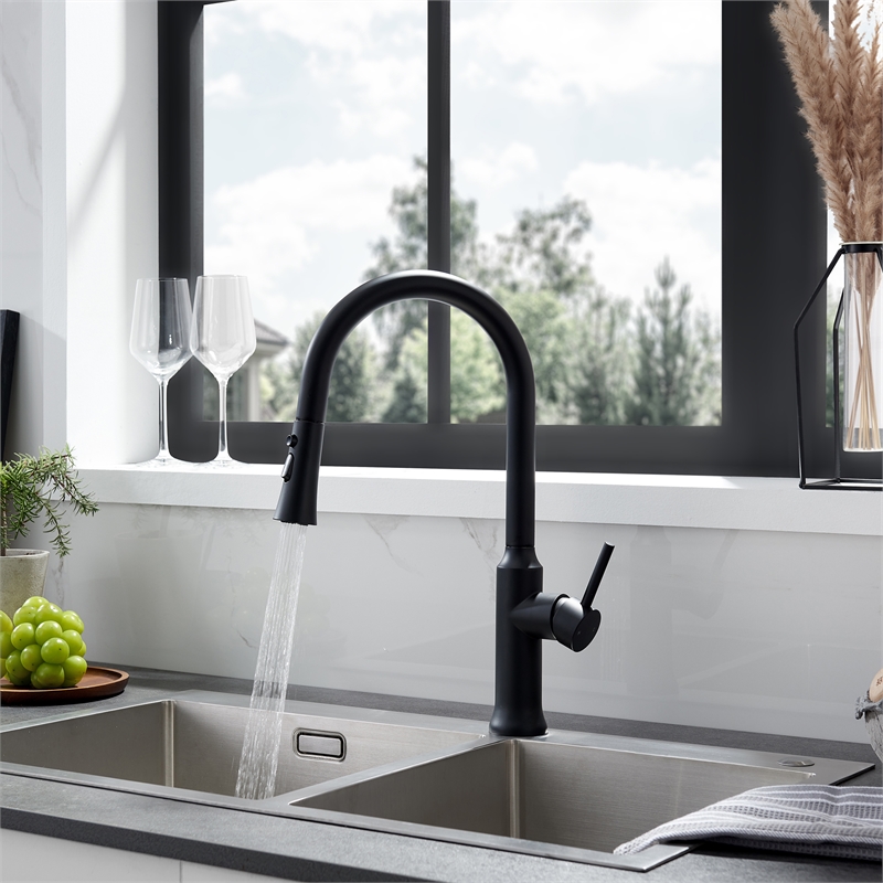 Oribe Single-Handle Kitchen Faucet with Pull Down Sprayer in Matte Black