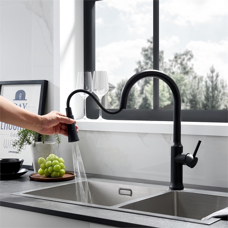 Oribe Single-Handle Kitchen Faucet with Pull Down Sprayer in Matte Black