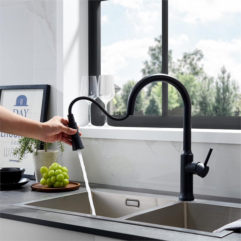 Oribe Single-Handle Kitchen Faucet with Pull Down Sprayer in Matte Black