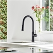 Oribe Single-Handle Kitchen Faucet with Pull Down Sprayer in Matte Black