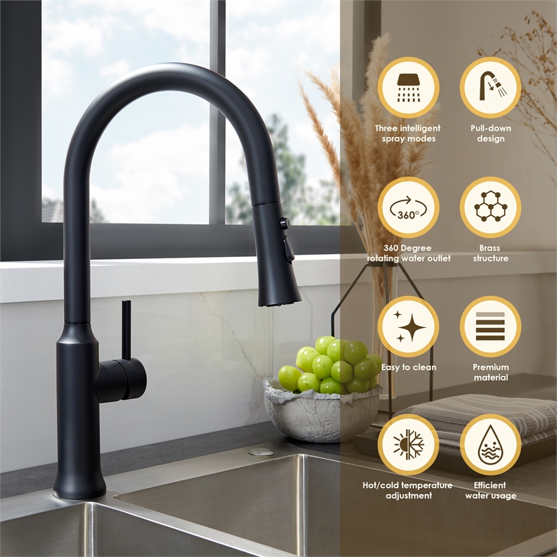 Oribe Single-Handle Kitchen Faucet with Pull Down Sprayer in Matte Black