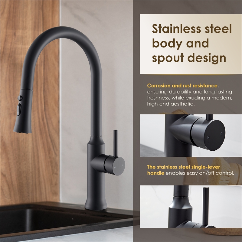 Oribe Single-Handle Kitchen Faucet with Pull Down Sprayer in Matte Black