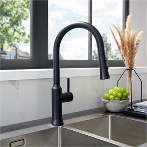 Oribe Single-Handle Kitchen Faucet with Pull Down Sprayer in Matte Black