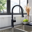 Oribe Single-Handle Kitchen Faucet with Pull Down Sprayer in Matte Black