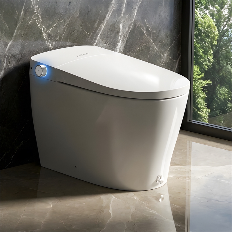 Natalie White Ceramic Smart Toilet with Tank Flush Bidet Wash Auto Open Lid