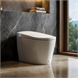 Natalie White Ceramic Smart Toilet with Tank Flush Bidet Wash Auto Open Lid