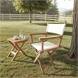 LuXeo Russell Teak Director Chair-White