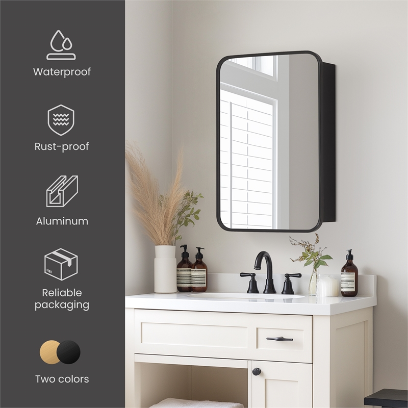 Talayuela 16 in.W x 24 in.H Aluminum Framed Medicine Cabinet in Brushed Black