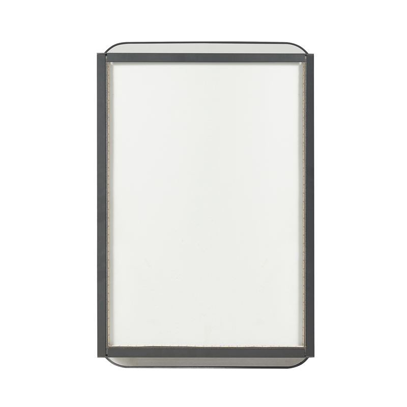 Talayuela 16 in.W x 24 in.H Aluminum Framed Medicine Cabinet in Brushed Black