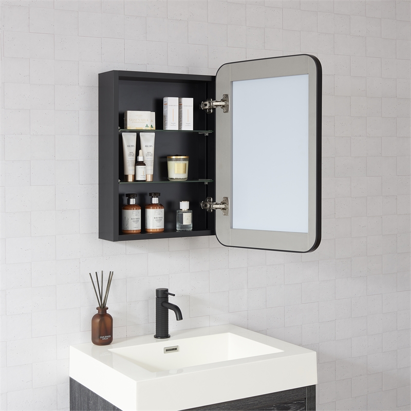 Talayuela 16 in.W x 24 in.H Aluminum Framed Medicine Cabinet in Brushed Black