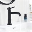 Mexico Single High Handle Hole Lever Vessel Matte Black Bathroom Faucet